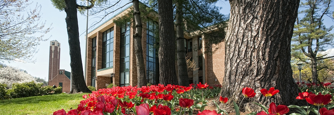 Administration Building with tulips